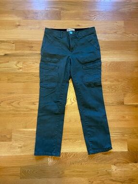 Democracy Ab technology Straight Leg Cargo Jeans in Dark Green